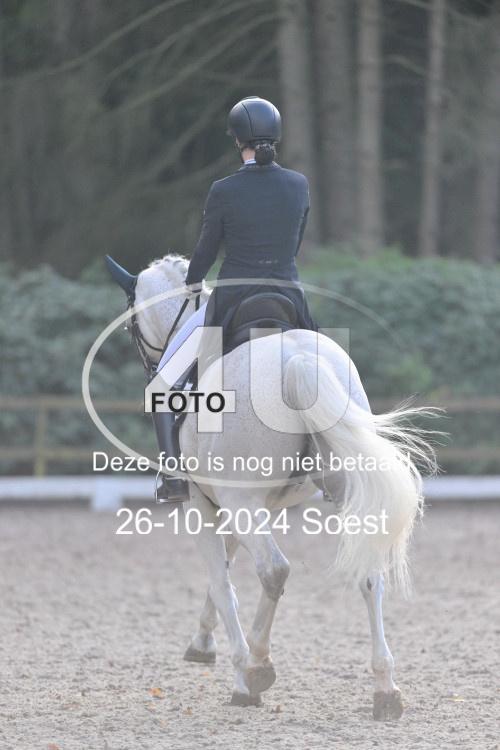 241026 3606