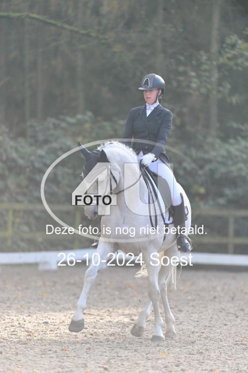 241026 3617