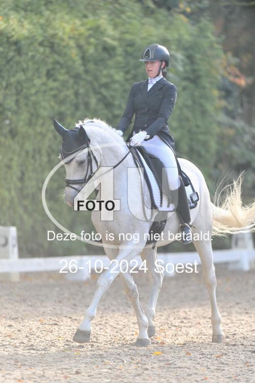 241026 3619