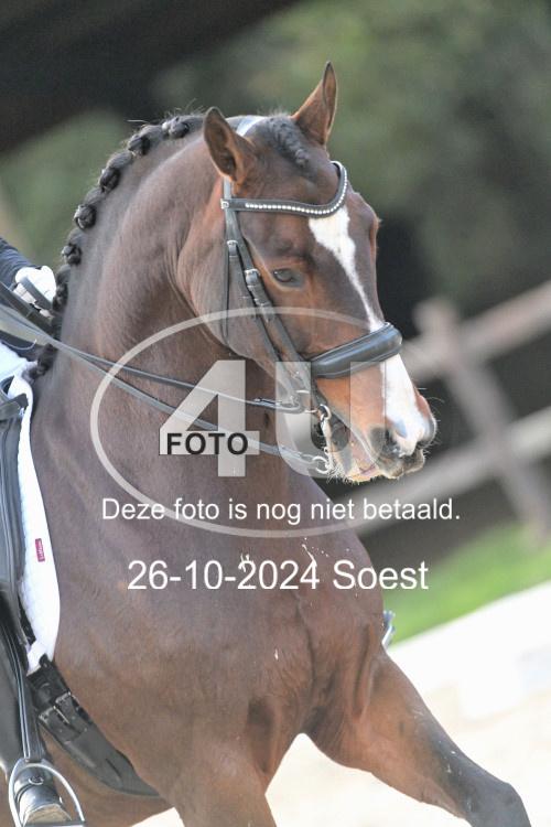 241026 3641