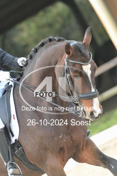 241026 3663