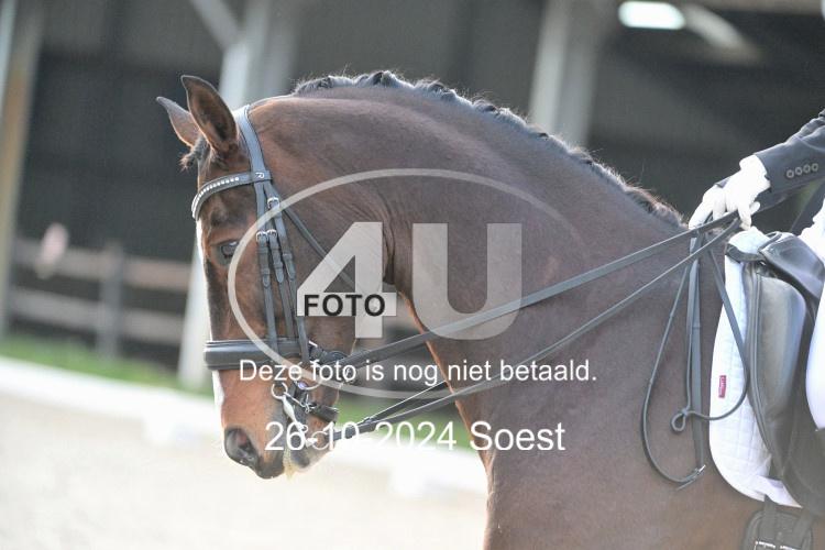 241026 3667