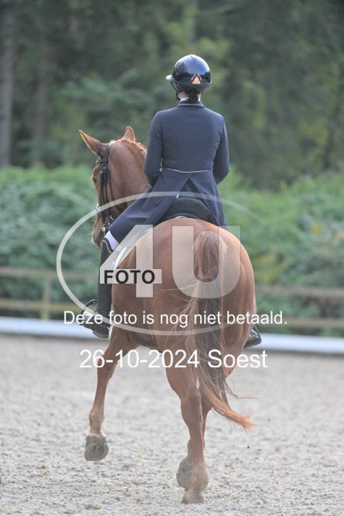 241026 3708