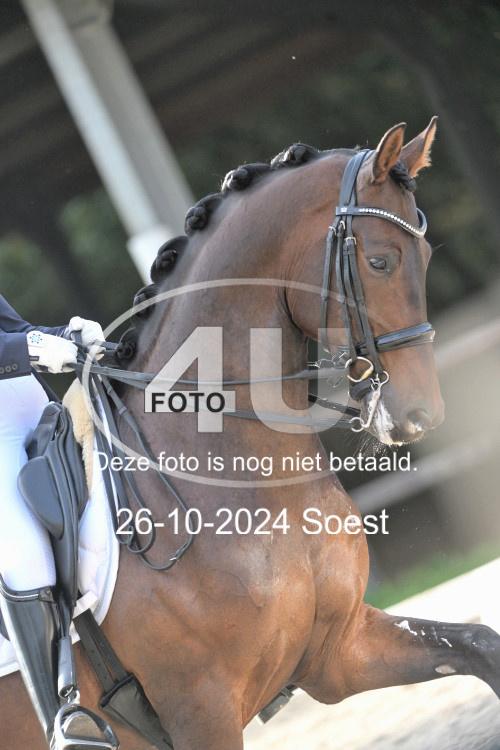 241026 3732