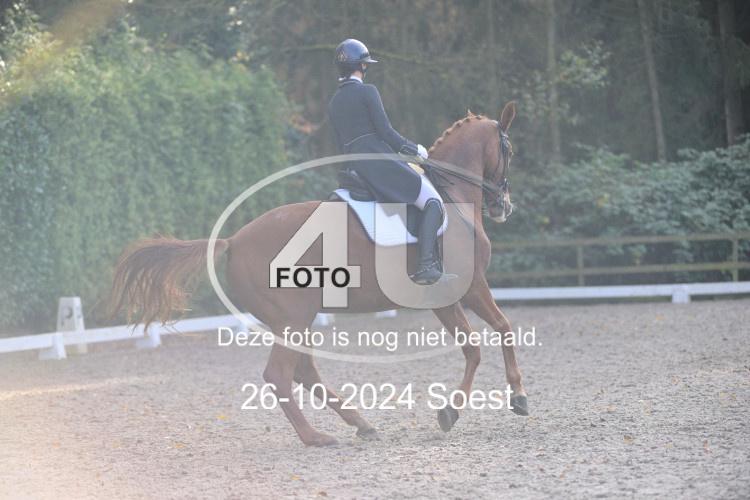 241026 3736