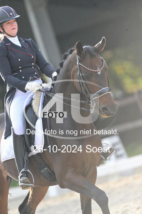 241026 3767