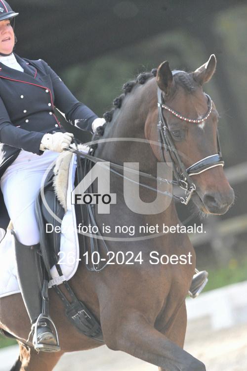 241026 3769