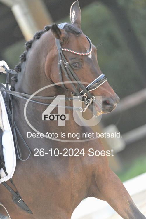 241026 3784
