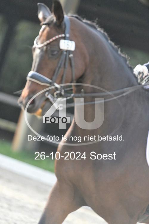 241026 3801