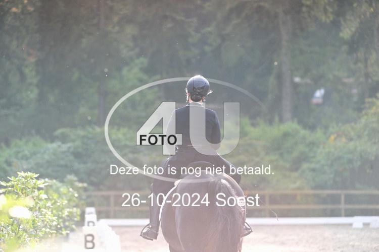 241026 3817