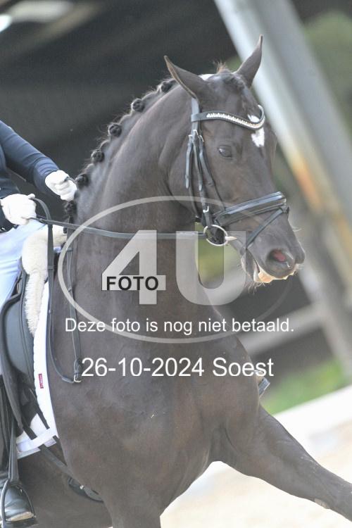 241026 3853