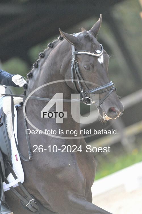 241026 3854