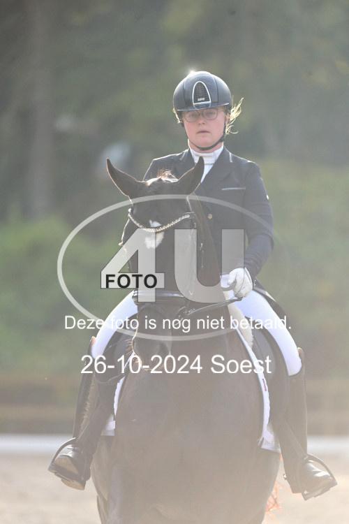 241026 3873