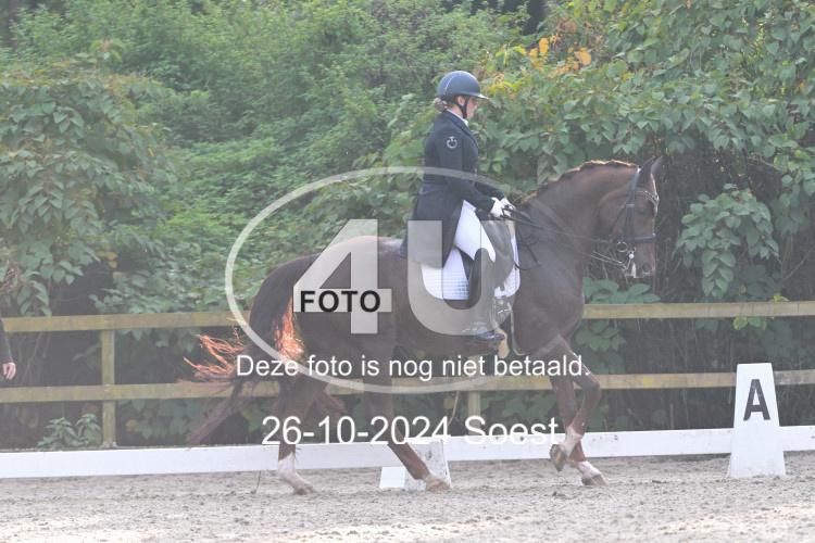 241026 3889