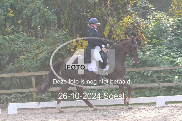 241026 3891
