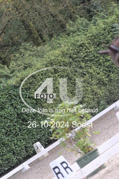 241026 3898