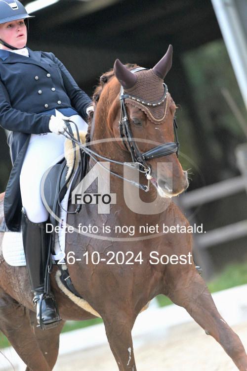241026 3911