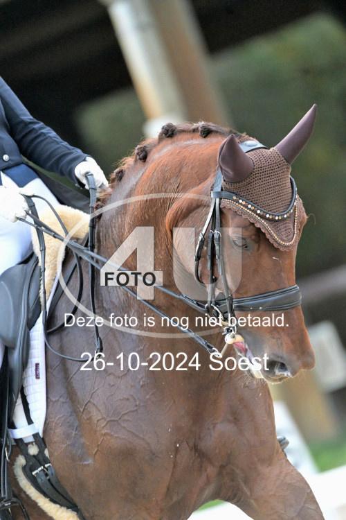 241026 3914