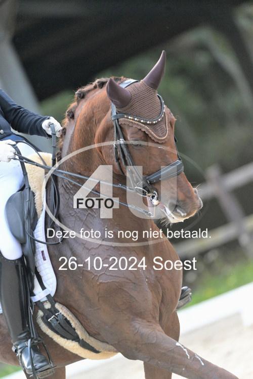 241026 3930