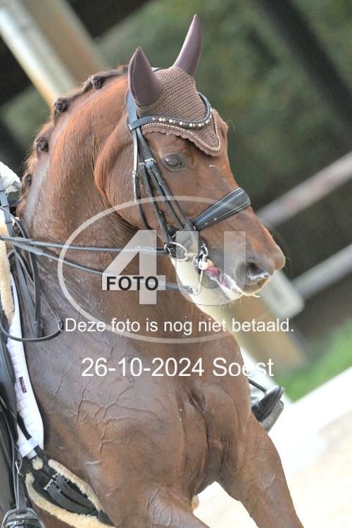 241026 3946