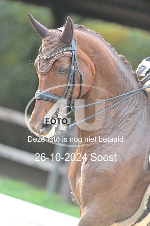 241026 3947