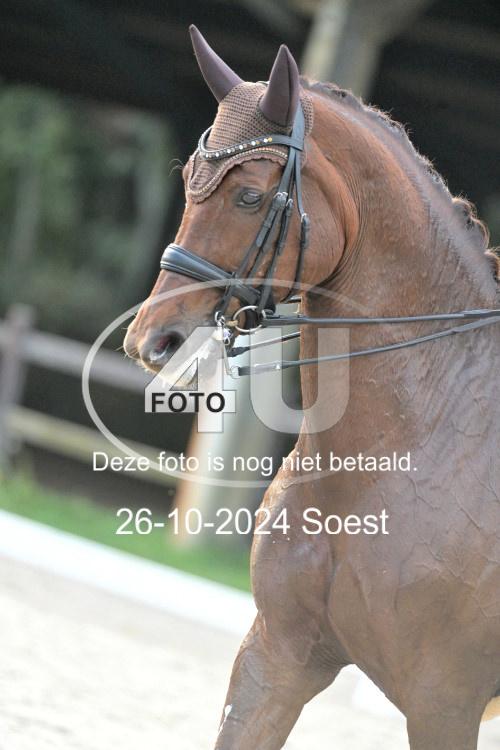 241026 3949
