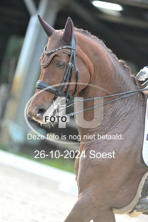 241026 3950