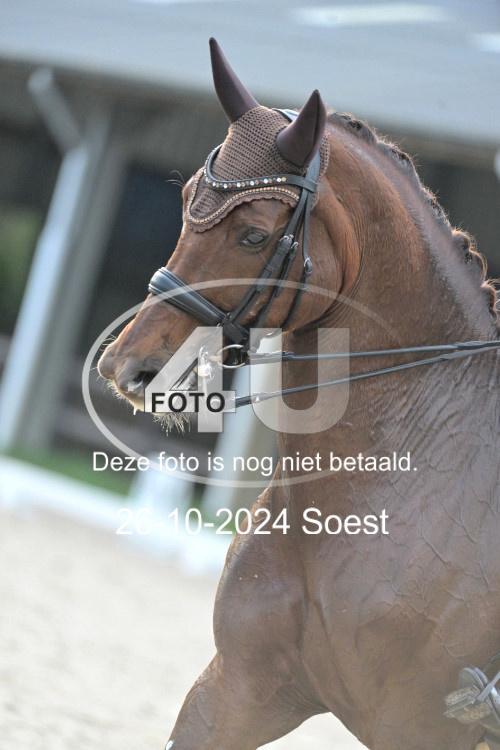 241026 3952
