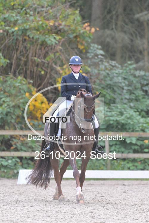 241026 3979