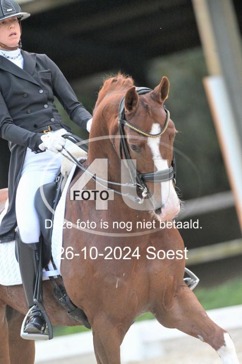 241026 4006