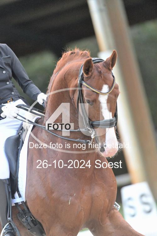 241026 4008