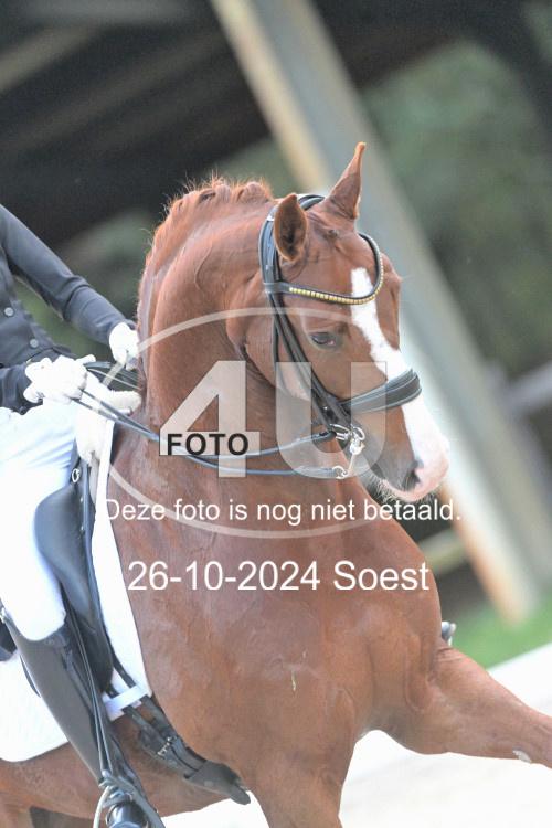 241026 4023