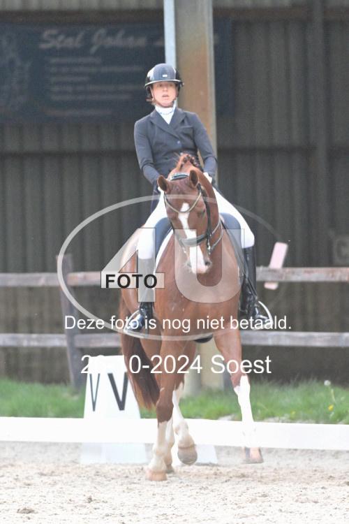 241026 4033