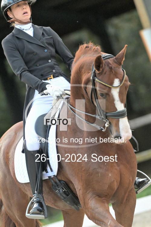 241026 4040