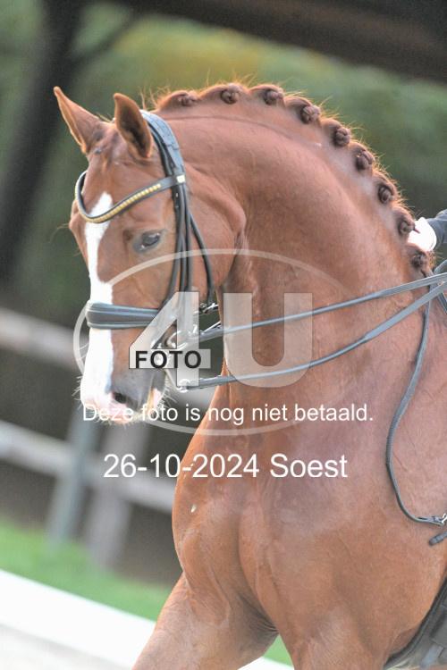 241026 4042