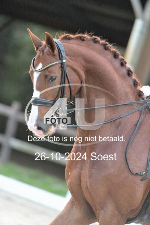 241026 4044