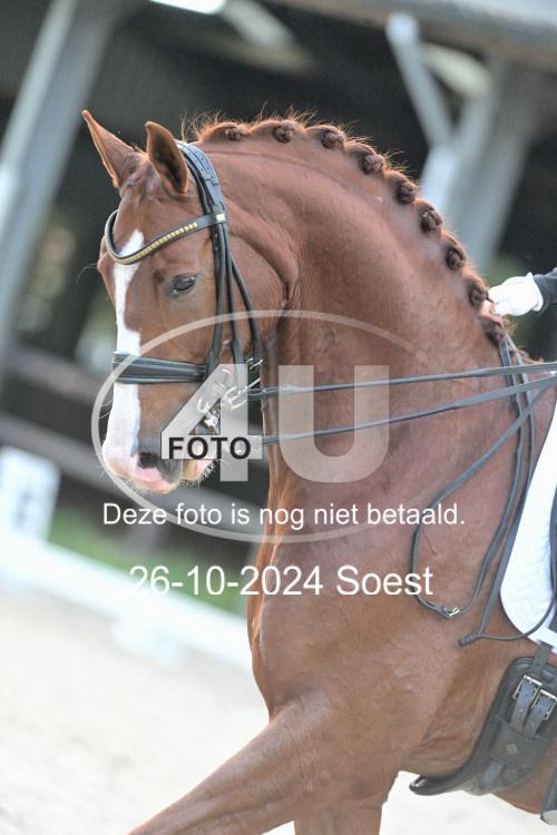 241026 4046