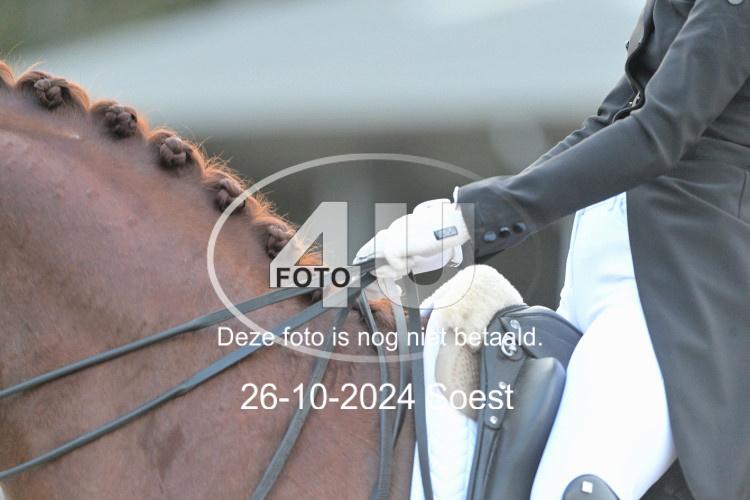 241026 4051