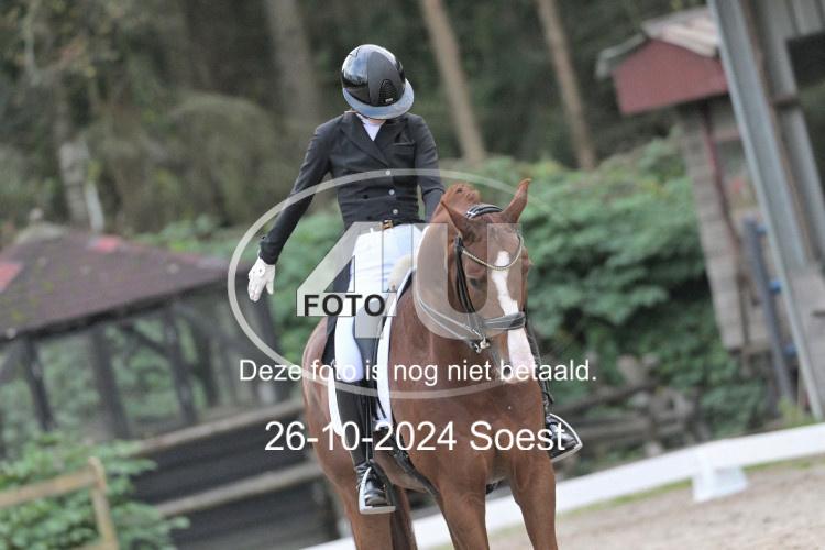 241026 4080