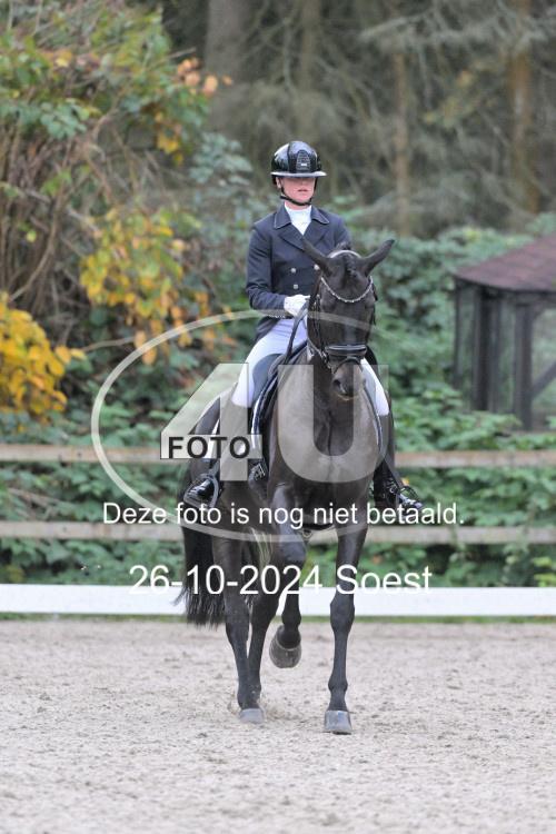 241026 4091