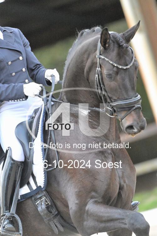 241026 4102