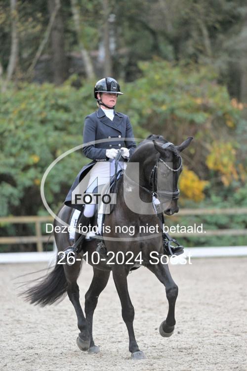 241026 4113