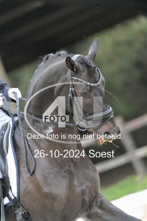 241026 4117