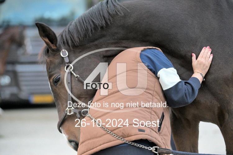 241026 4125