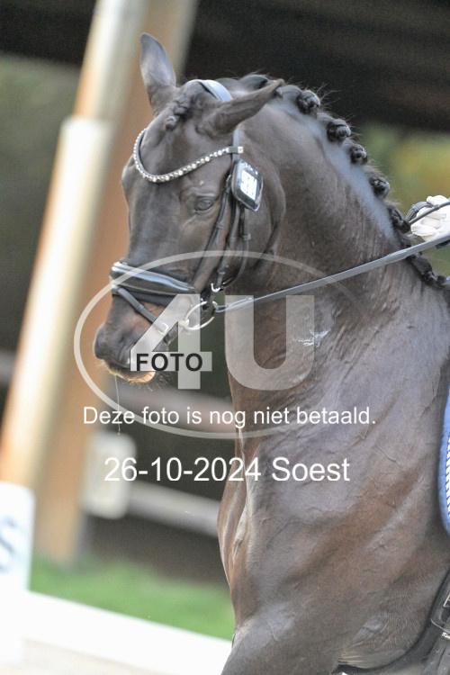 241026 4137