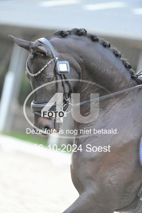 241026 4139