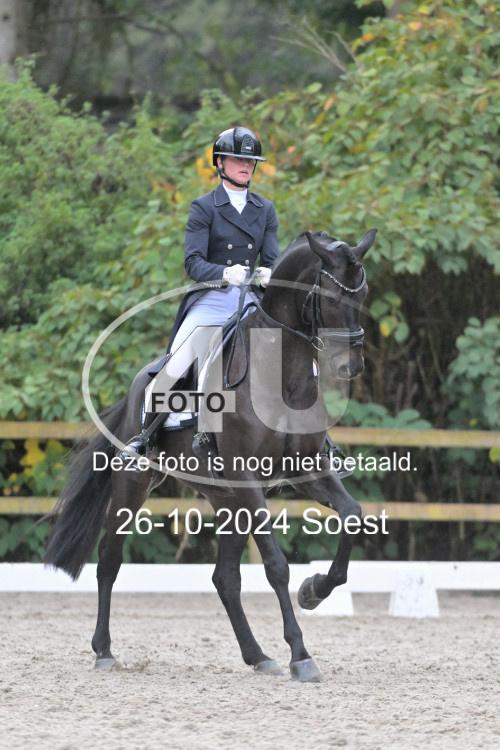 241026 4150