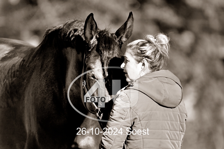 26-10-2024 Soest