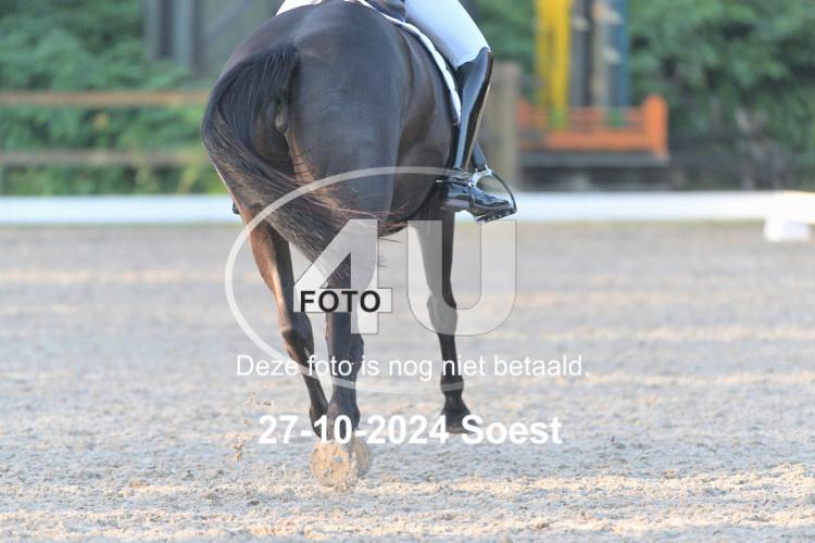 241027 0043
