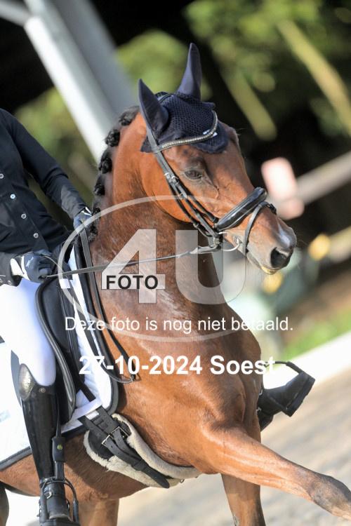 241027 0510